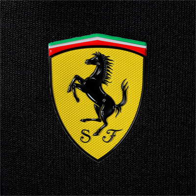 Pánske tepláky Scuderia Ferrari Race T7 Track pants